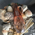 Духи Ange Ou Demon Le Secret от Givenchy