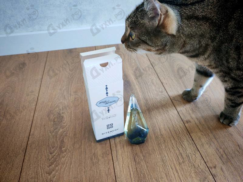 Духи Ange Ou Demon Tendre от Givenchy