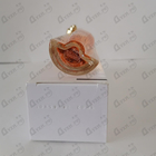 Отзыв Givenchy Organza