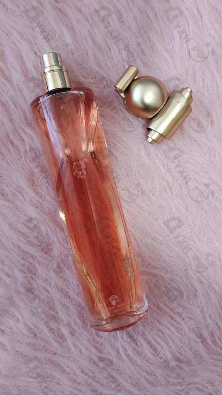 Отзыв Givenchy Organza