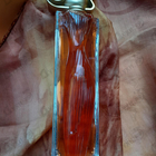 Отзыв Givenchy Organza