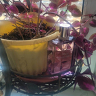 Отзывы Givenchy Very Irresistible