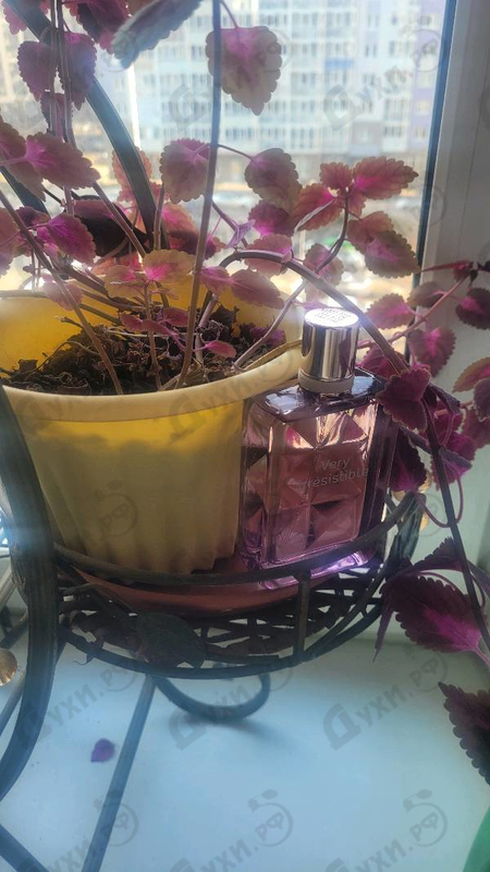 Парфюмерия Very Irresistible от Givenchy