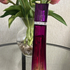 Купить Givenchy Very Irresistible Sensual