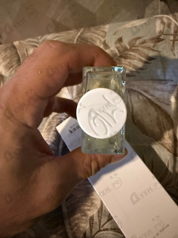 Купить Young от Jose Eisenberg