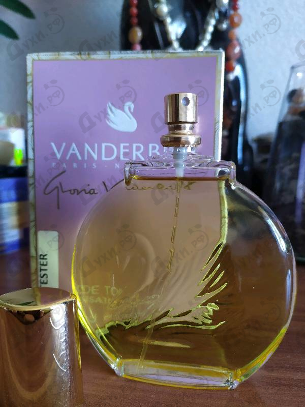 Купить Gloria Vanderbilt Vanderbilt Духи Vanderbilt от Gloria Vanderbilt