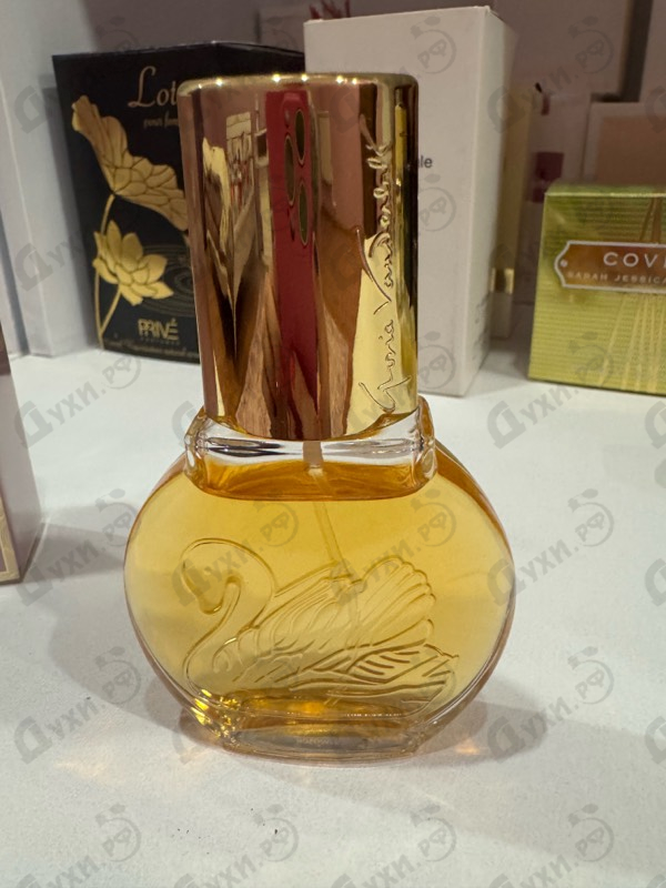 Купить Vanderbilt от Gloria Vanderbilt