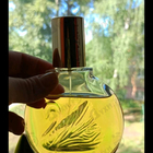 Духи Vanderbilt от Gloria Vanderbilt