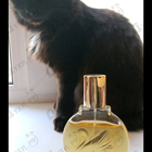 Духи Vanderbilt от Gloria Vanderbilt