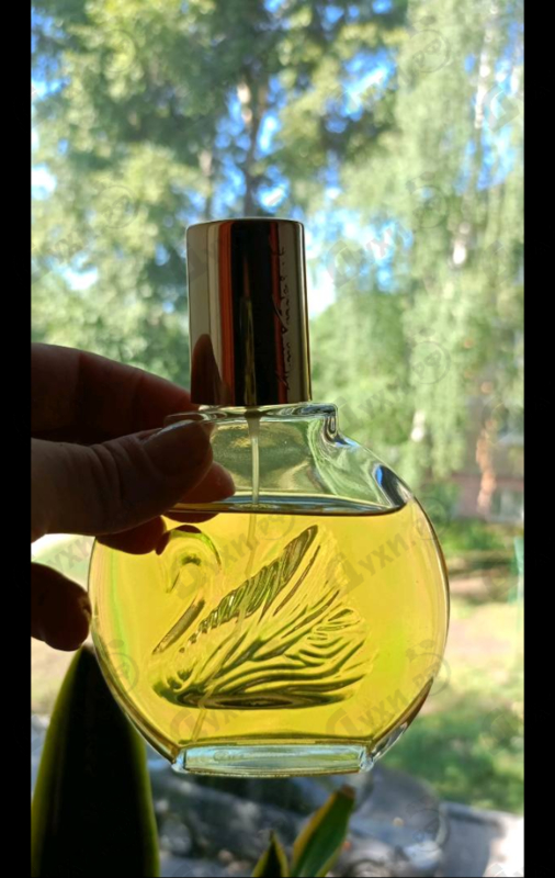 Купить Vanderbilt от Gloria Vanderbilt