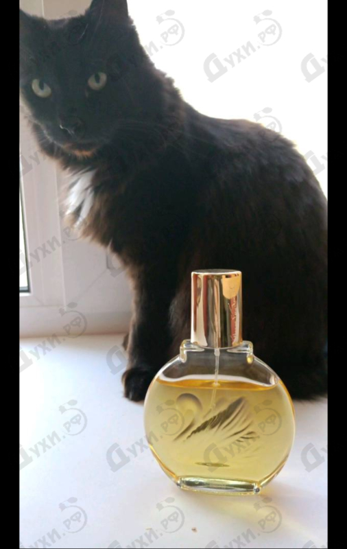 Отзывы Gloria Vanderbilt Vanderbilt