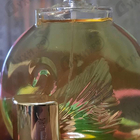 Отзывы Gloria Vanderbilt Vanderbilt