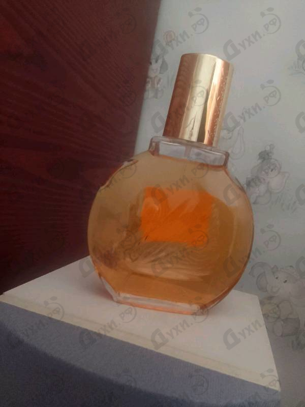 Купить Vanderbilt от Gloria Vanderbilt