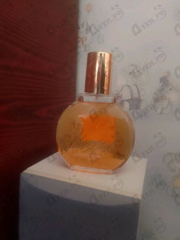 Отзыв Gloria Vanderbilt Vanderbilt