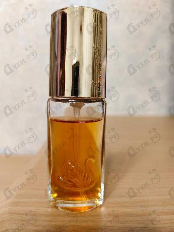 Купить Vanderbilt от Gloria Vanderbilt