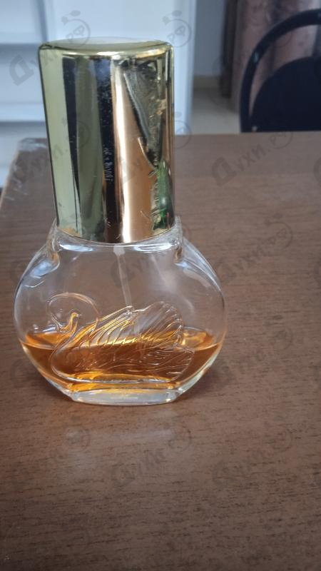 Парфюмерия Vanderbilt от Gloria Vanderbilt