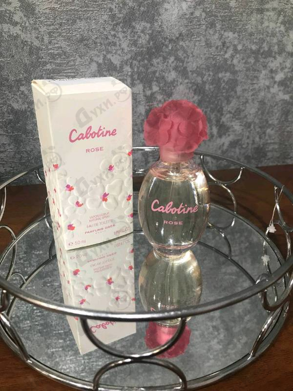 Купить Cabotine Rose от Gres