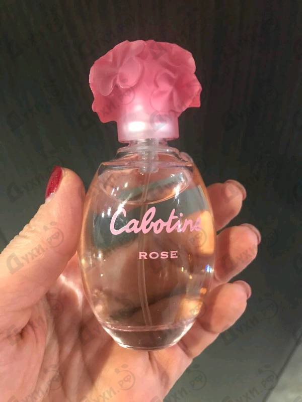 Парфюмерия Cabotine Rose от Gres