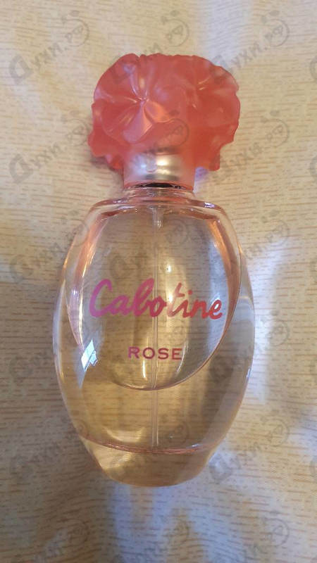 Купить Cabotine Rose от Gres