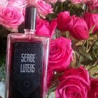 Отзывы Serge Lutens Fils De Joie
