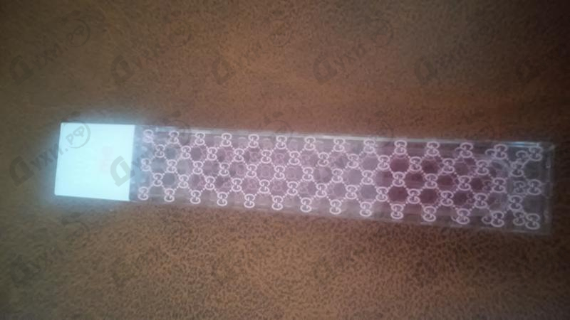Купить Envy Me от Gucci