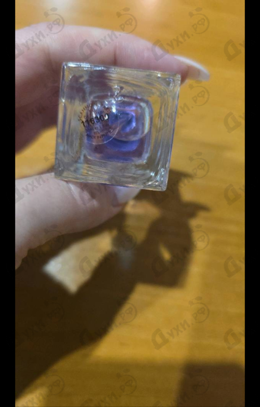 Купить II от Gucci