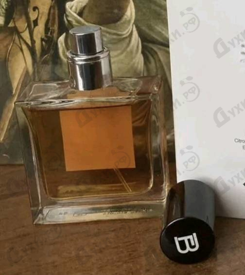 Духи Sex And The Sea от Francesca Bianchi