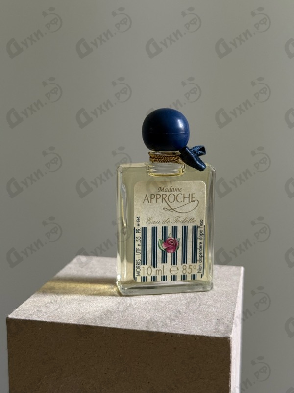 Купить Madame Approche от Morris