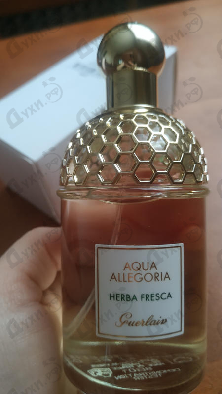 Парфюмерия Aqua Allegoria Herba Fresca от Guerlain