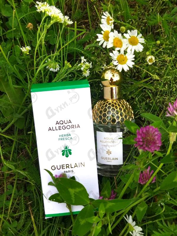 Отзывы Guerlain Aqua Allegoria Herba Fresca