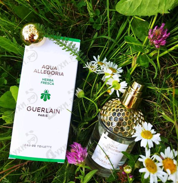 Купить Guerlain Aqua Allegoria Herba Fresca