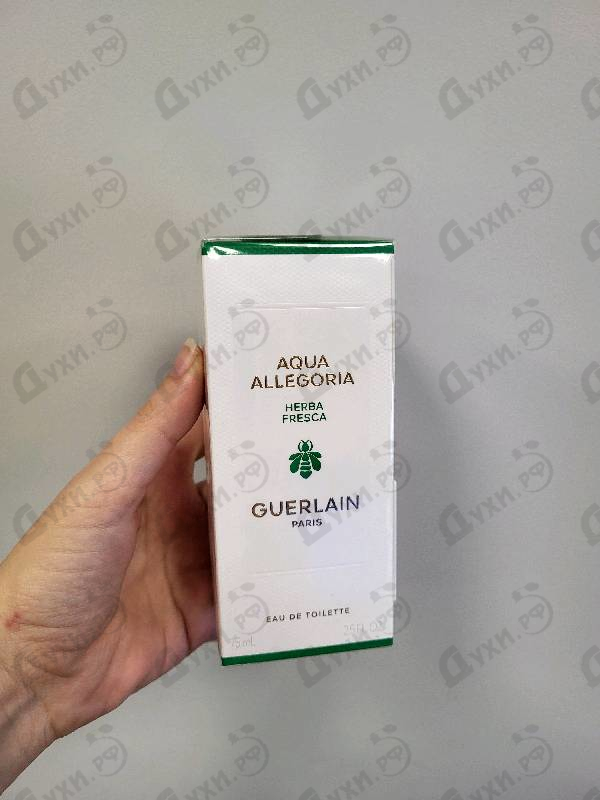 Отзыв Guerlain Aqua Allegoria Herba Fresca