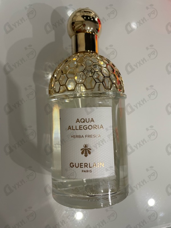 Купить Aqua Allegoria Herba Fresca от Guerlain