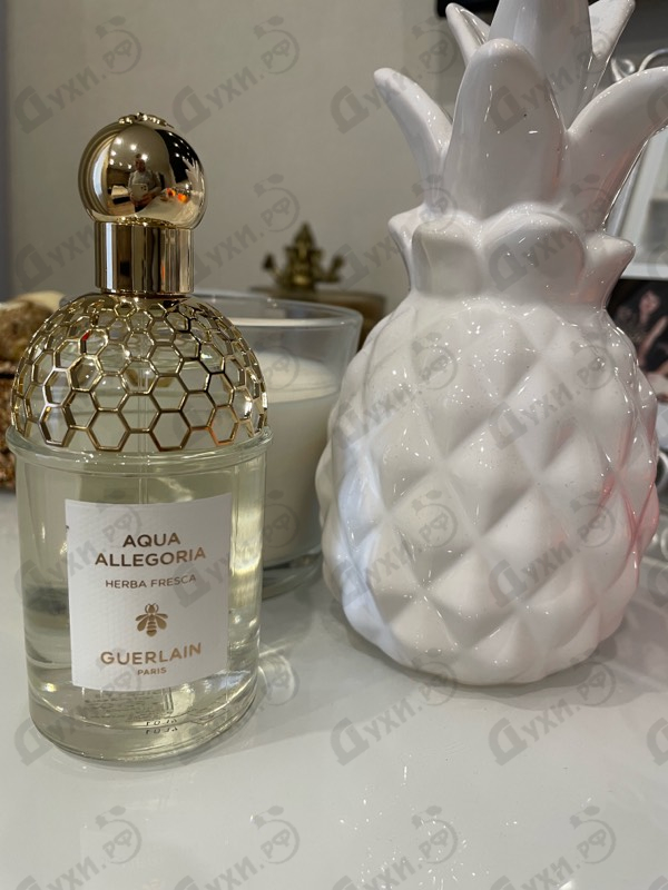Отзывы Guerlain Aqua Allegoria Herba Fresca