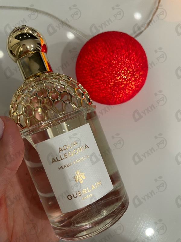 Парфюмерия Guerlain Aqua Allegoria Herba Fresca