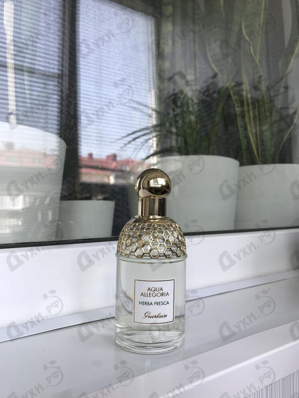 Купить Guerlain Aqua Allegoria Herba Fresca