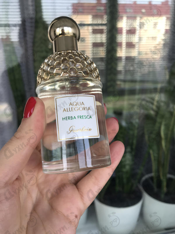 Купить Aqua Allegoria Herba Fresca от Guerlain