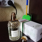 Отзыв Guerlain Aqua Allegoria Herba Fresca