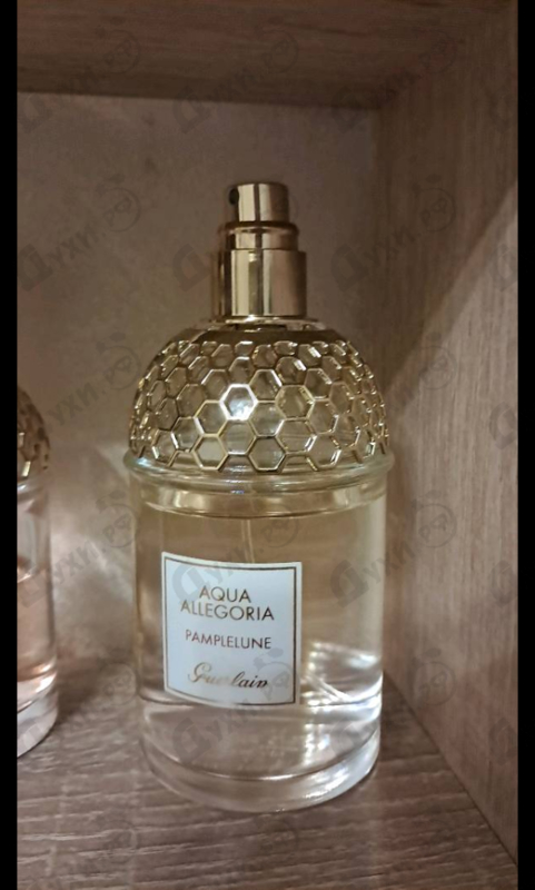 Отзывы Guerlain Aqua Allegoria Pamplelune