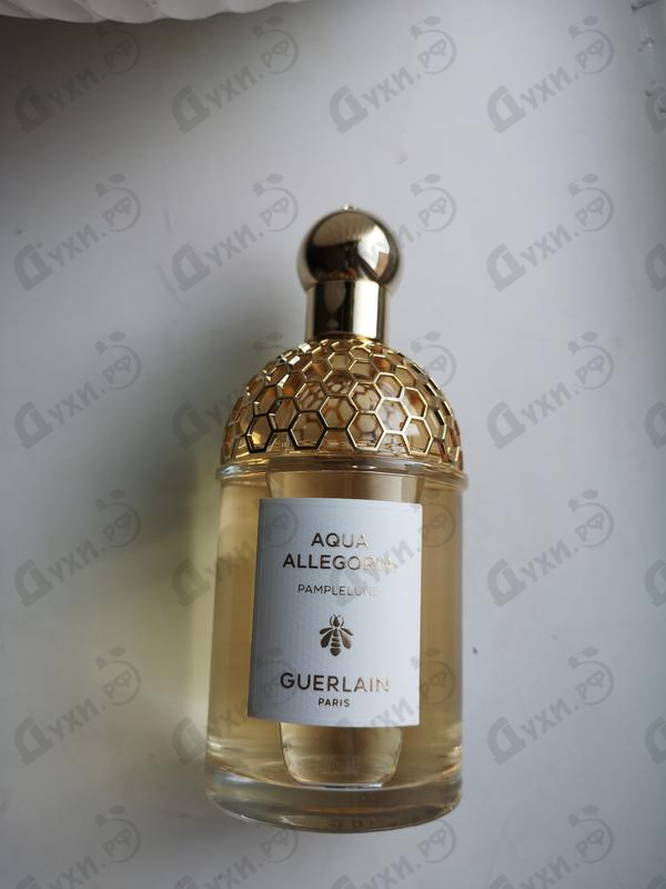 Духи Aqua Allegoria Pamplelune от Guerlain