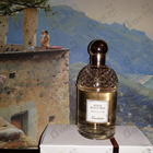 Парфюм Guerlain Aqua Allegoria Pamplelune