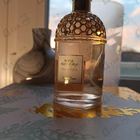 Отзыв Guerlain Aqua Allegoria Pamplelune