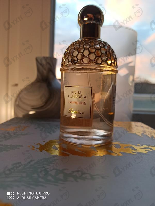 Парфюмерия Aqua Allegoria Pampelune от Guerlain