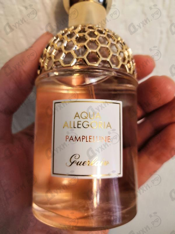 Отзыв Guerlain Aqua Allegoria Pamplelune