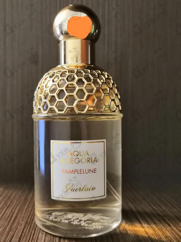 Духи Aqua Allegoria Pamplelune от Guerlain