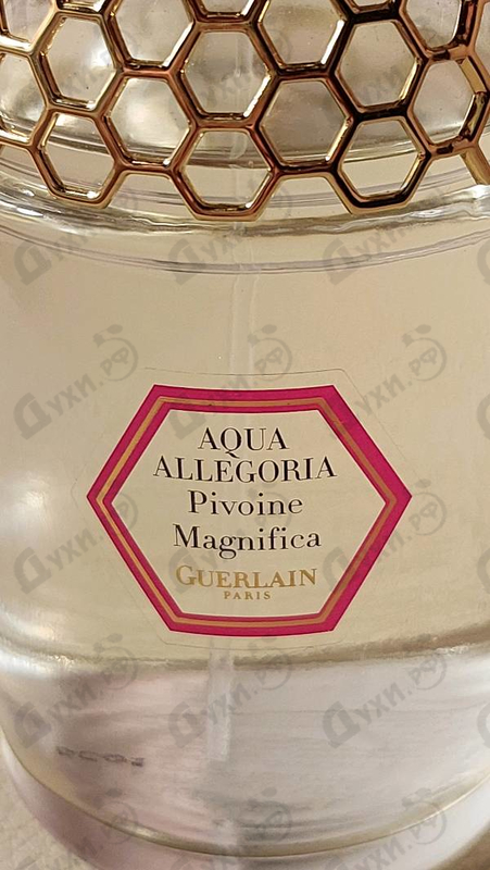 Купить Guerlain Aqua Allegoria Pivoine Magnifica