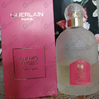 Отзыв Guerlain Champs Elysees
