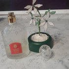 Духи Champs Elysees от Guerlain