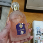 Парфюм Guerlain Insolence