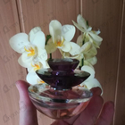 Отзыв Guerlain Insolence